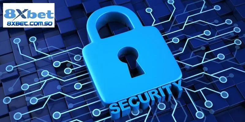 4 điều lệ trong chính sách bảo mật